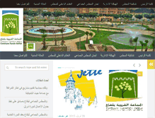 Tablet Screenshot of belfaa.com